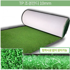 TPR Latex 조경인조잔디 10mm